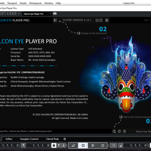 Falcon Eye Player Pro - V.2.10.2