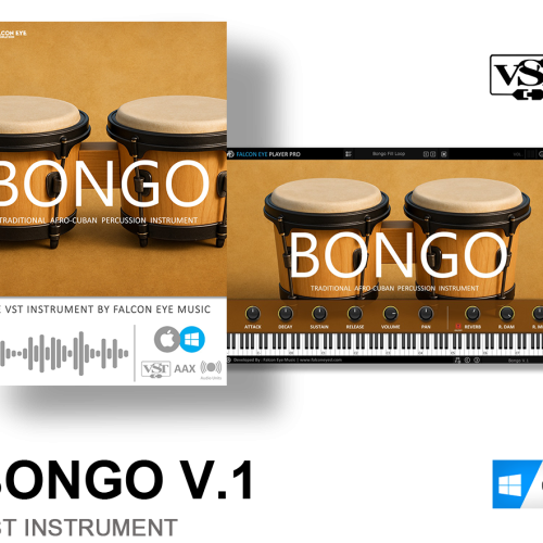 Bongo V.1 VST Instrument