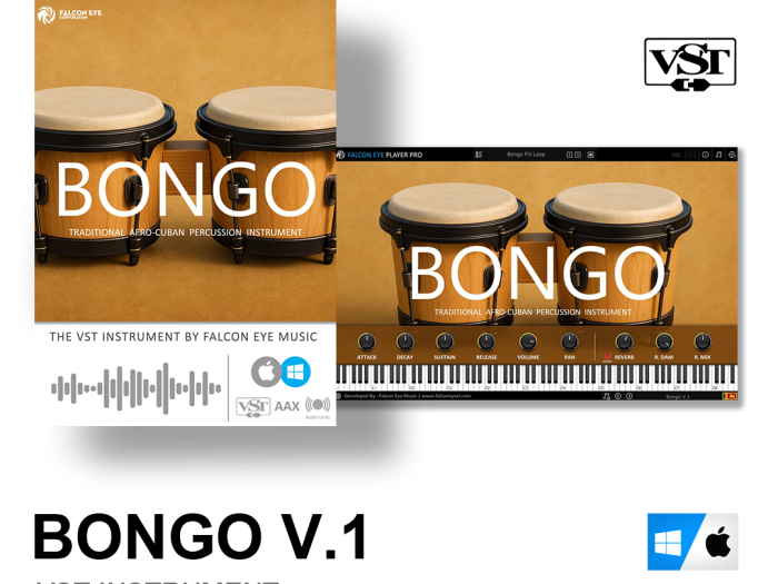 Bongo V.1 VST Instrument
