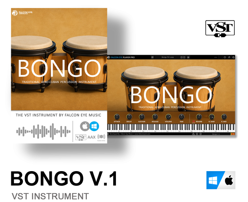 Bongo V.1 VST Instrument