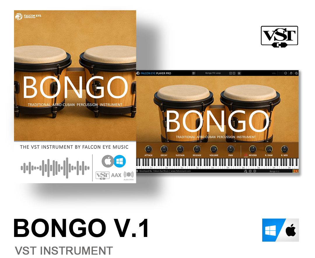 Bongo V.1 VST Instrument