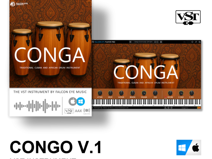 Conga V.1 VST Instrument