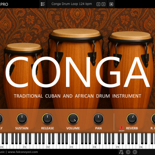 Conga V.1 VST Instrument
