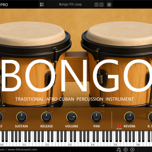 Bongo V.1 VST Instrument