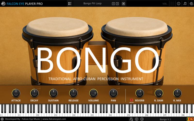 Bongo V.1 VST Instrument